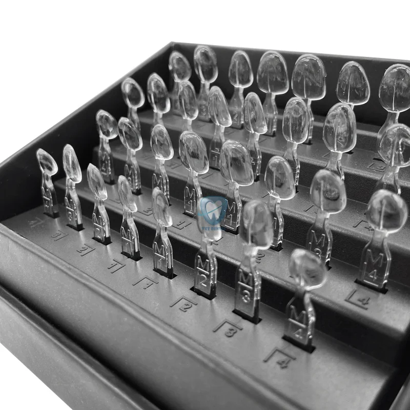 32pcs/Set Dental Veneer Mould  - Teeth Whitening Moulds 评论和价格
